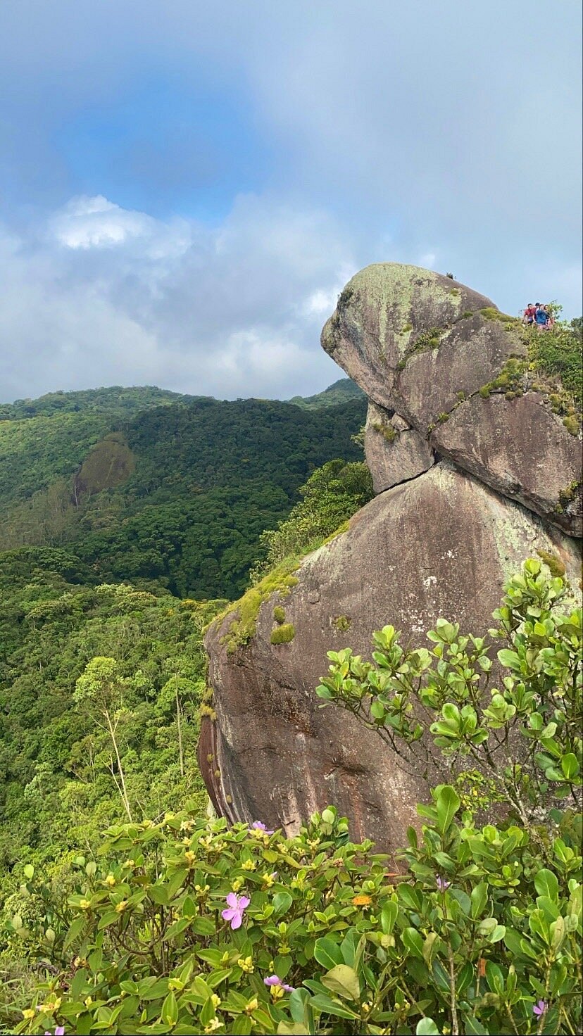 Pedra do Sapo